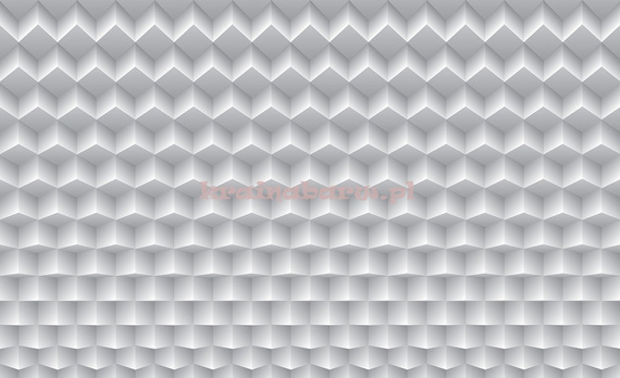 Fototapeta 2848 EFEKT 3D