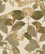 Tapeta Herbarium HE27231 liście