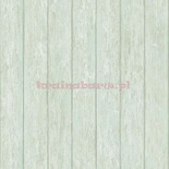 Tapeta G56442 Global Fusion