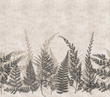 Tapeta Mural Herbarium Fern HED27292 paproć