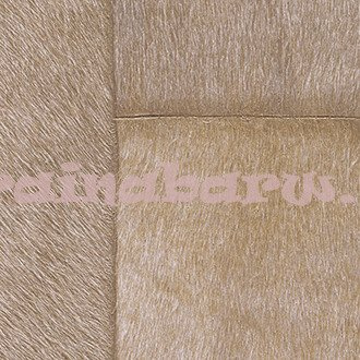 Tapeta VP 618 08 ELITIS INDOMPTEE