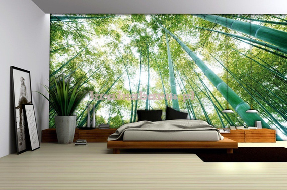 Fototapeta na flizelinie 150VE Consalnet