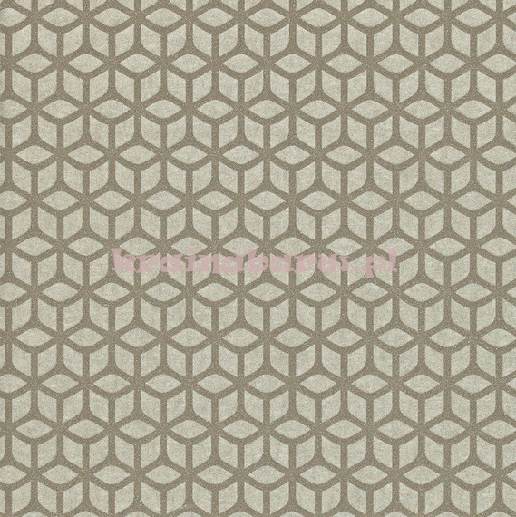 Tapeta TRELLIS 110378  Momentum 2