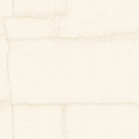 Tapeta Trussardi Casa 8 Z30307 imitacja kamienia