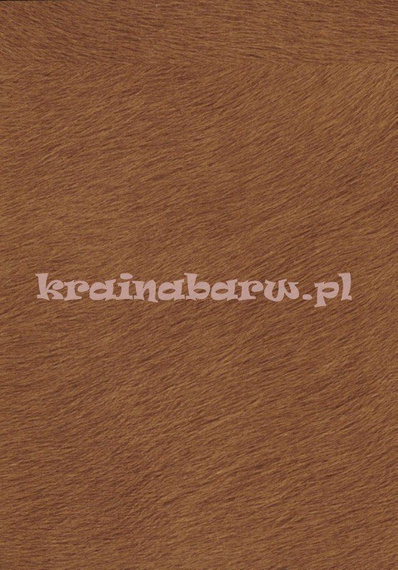 tapeta VP625 10 Natives