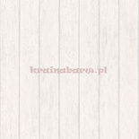 Tapeta G56443 Global Fusion