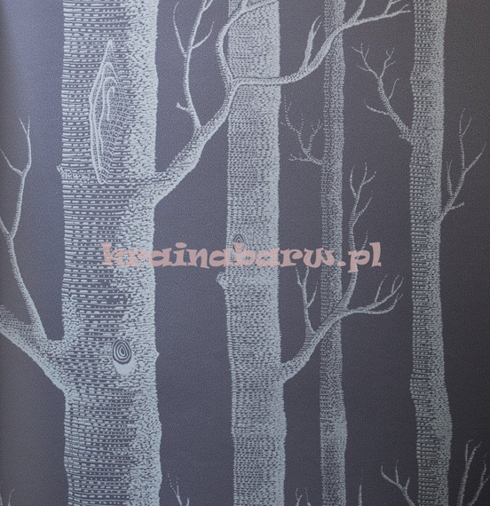 Tapeta 69/12151 Woods