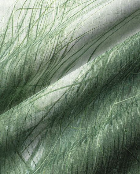 Fototapeta artystyczna Mist trawy