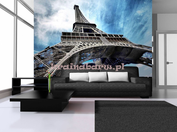 Fototapeta na flizelinie  144VE Consalnet