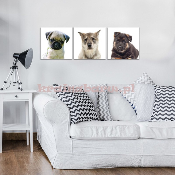 Obrazy na płótnie PS10532S13 TRZY PIESKI