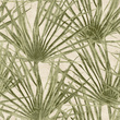 Tapeta Herbarium Palm HE27262 liście palmy