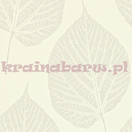 Tapeta LEAF 110375  Momentum 2