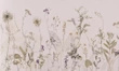 Fototapeta artystyczna Campo Di Erbe polne kwiaty