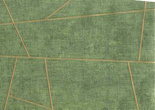 Zmywalna tapeta 24024 geometryczne linie oliwkowe