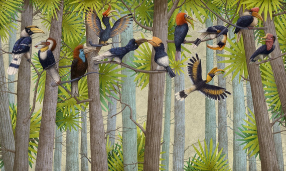 Ekskluzywny mural Drzewa kolorowe ptaki Hornbill 1 Blue Kids Fantasy