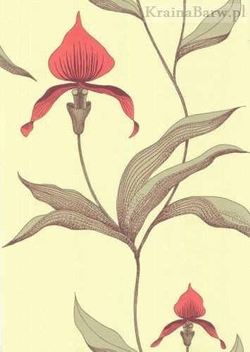 Tapeta 66/4033 Orchid