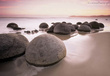 Fototapeta 285 Moeraki Boulders