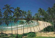 Fototapeta 8-252 Cottegoda Bay